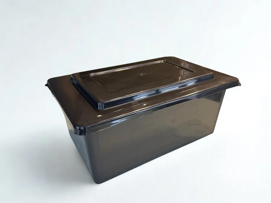 Caixa Armazenagem 30L REF 504, cor Preto
